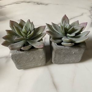 2 faux succulents